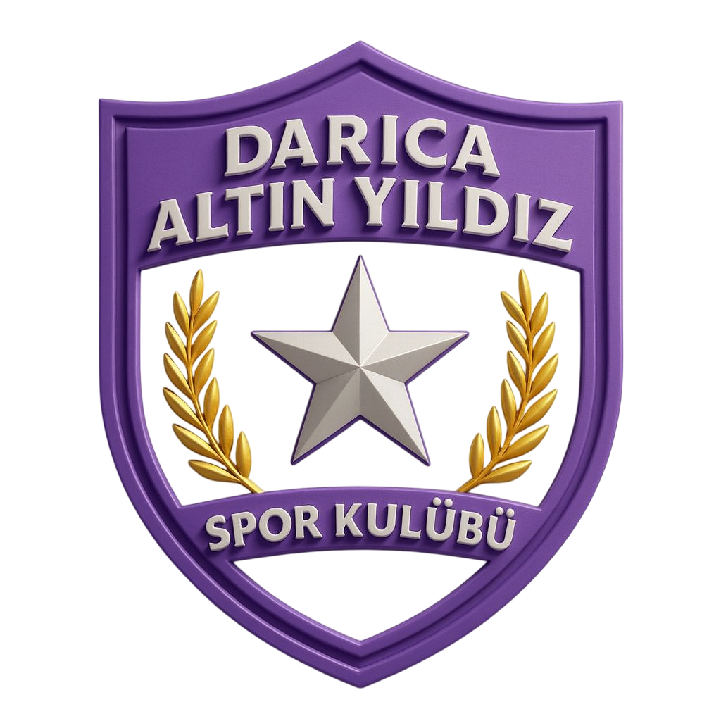 Darıca Altın Yıldız SK Logosu